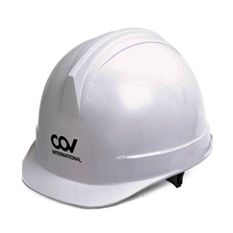 Safety Helmet With Custom Logo Printing