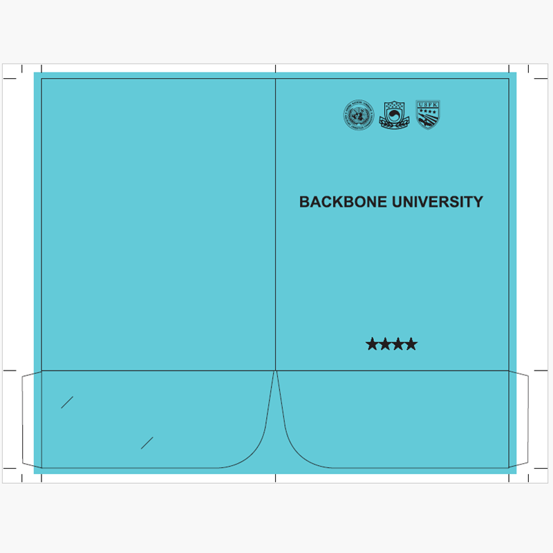 Custom Two Pocket Folder