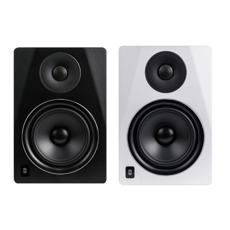 Studio Speaker System