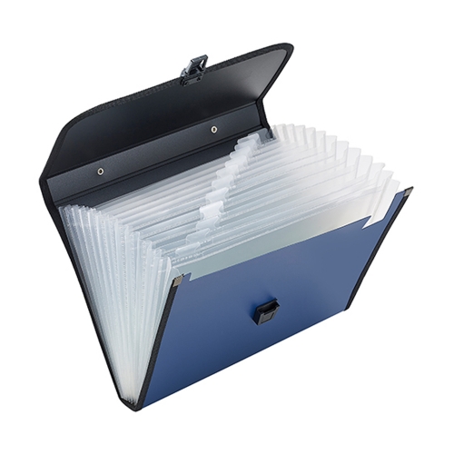 12 Slot Expanding File Organizer | File Folder