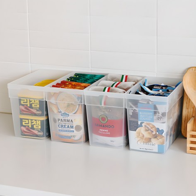 Storage Box | Plastic Box with Lid (M)