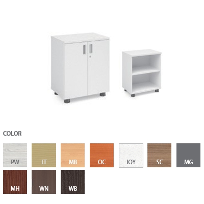 Cabinet (2 Tier / Door type)