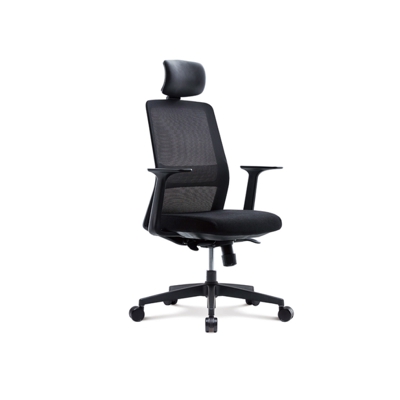 Office Chair (Large Size) / D.P ITEM